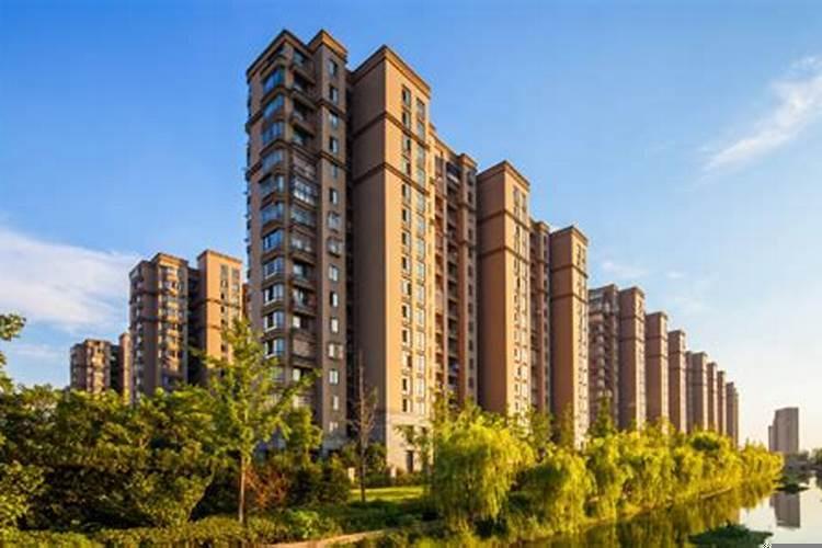 属兔住几层好吗