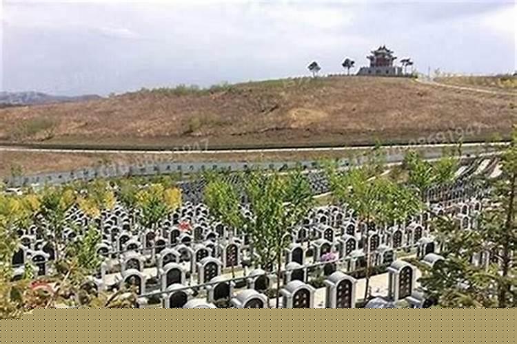 儿媳妇给婆婆烧纸