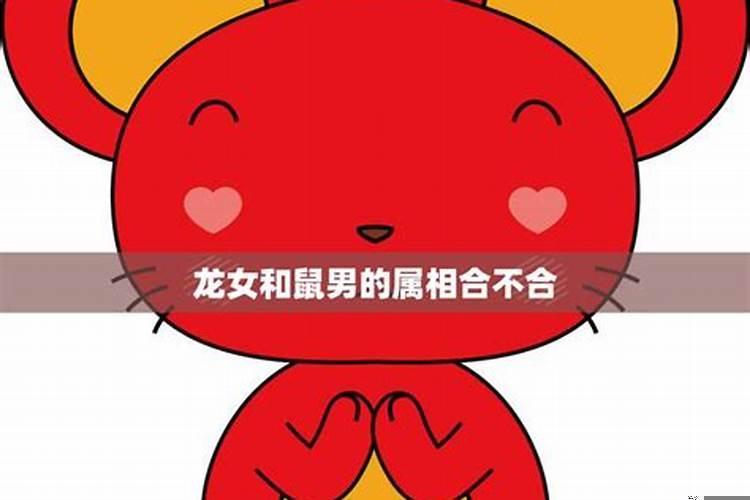 女龙和男鼠的属相合不合