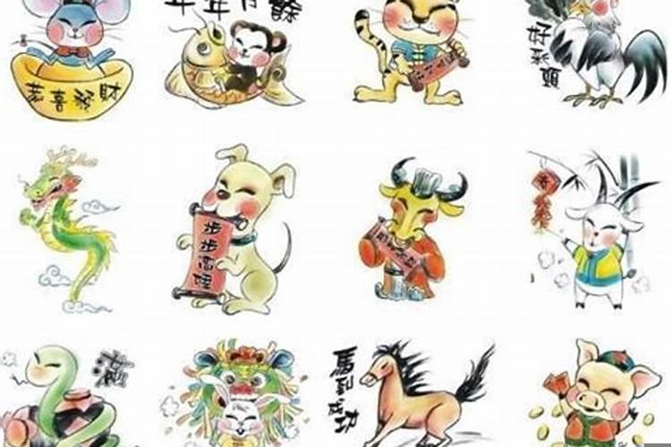 爱占小便宜的生肖