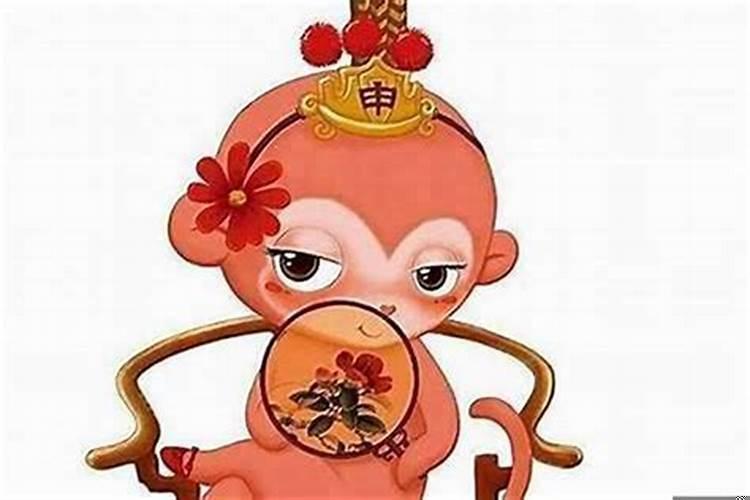 属猪的男孩子和属鼠的女孩子