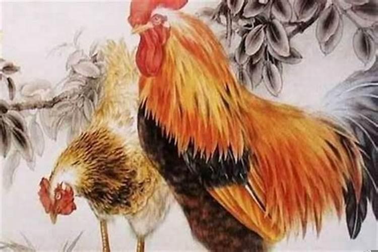 属鸡的出生于哪一年