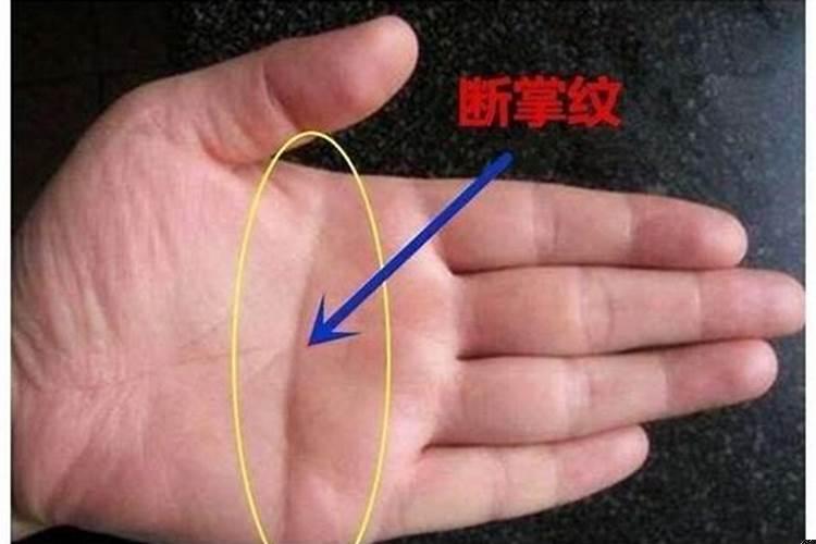 什么样的人才会有断掌