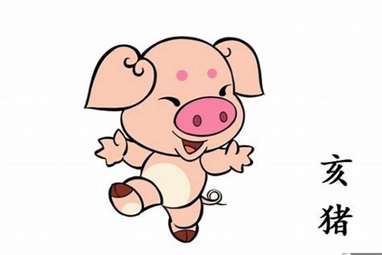 2022年属猪人全年运势如何