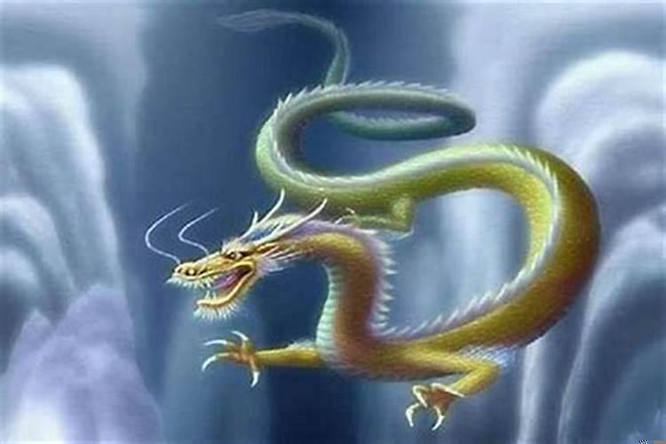 88年属龙的天乙贵人是谁