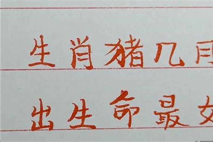 属猪人生于几月命最好