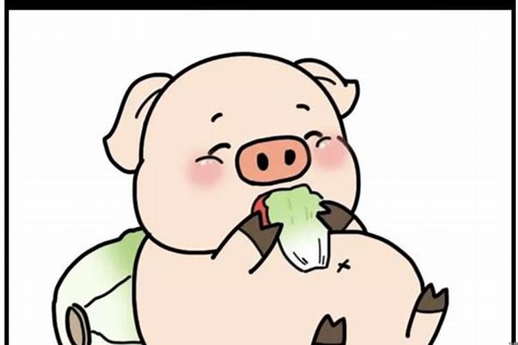 猪能不能吃苹果