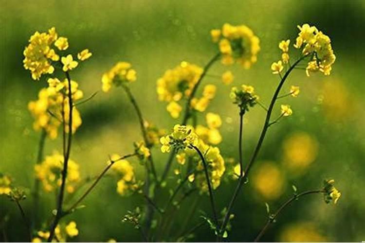 午午马相刑怎么办?