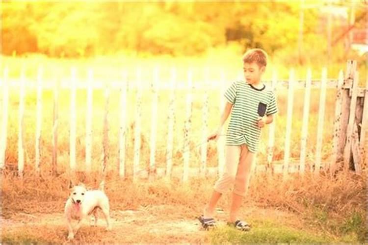 梦到蛆是怎么回事