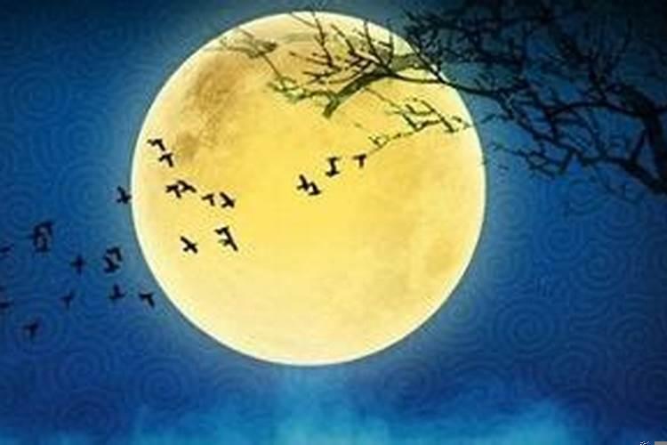 八字看你对象何时出现