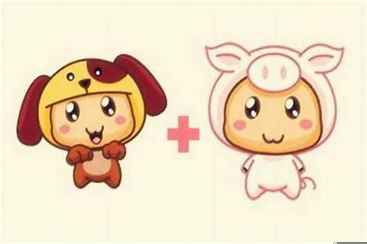 1994年属狗的婚配属猪怎样