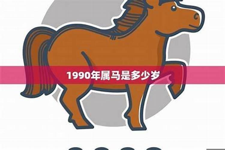 属马的要找什么对象相配呀