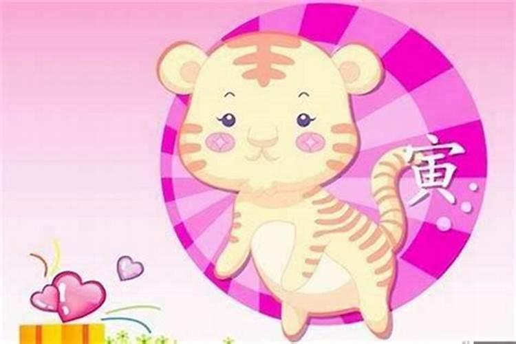 83年属猪和属狗合适吗