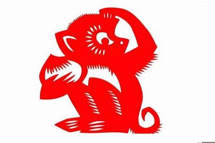 属猴三十以后的运势