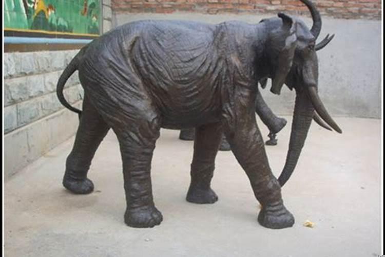 大象在客厅摆放的位置