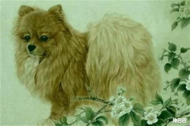 2020年属狗的人应该佩戴什么