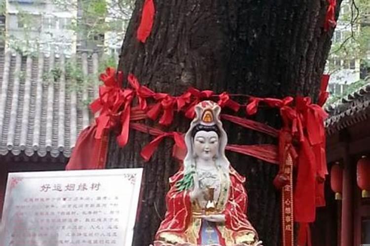 向菩萨许愿求姻缘后可以催别人找吗