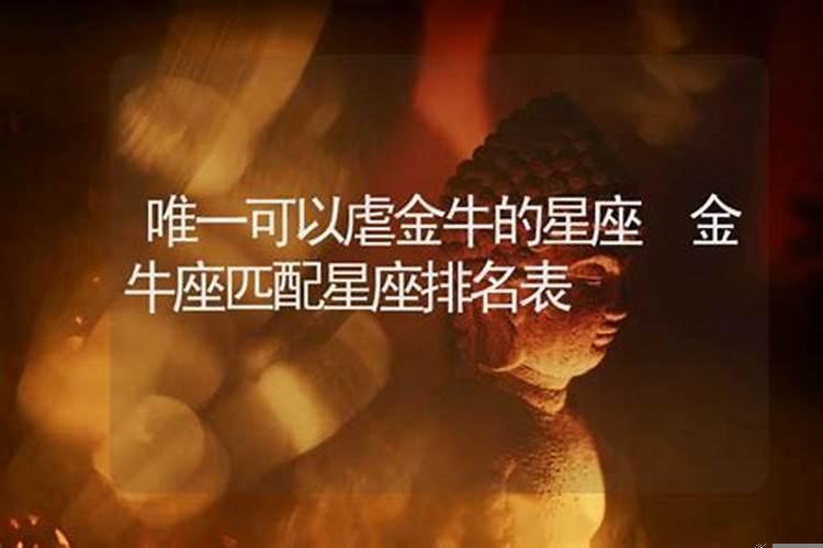 把金牛座伤得最惨的星座