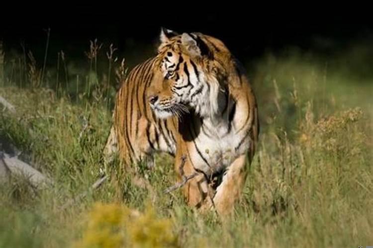 弟子规全篇解释