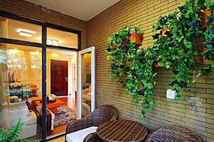 室内种植盆栽也要讲究风水嘛