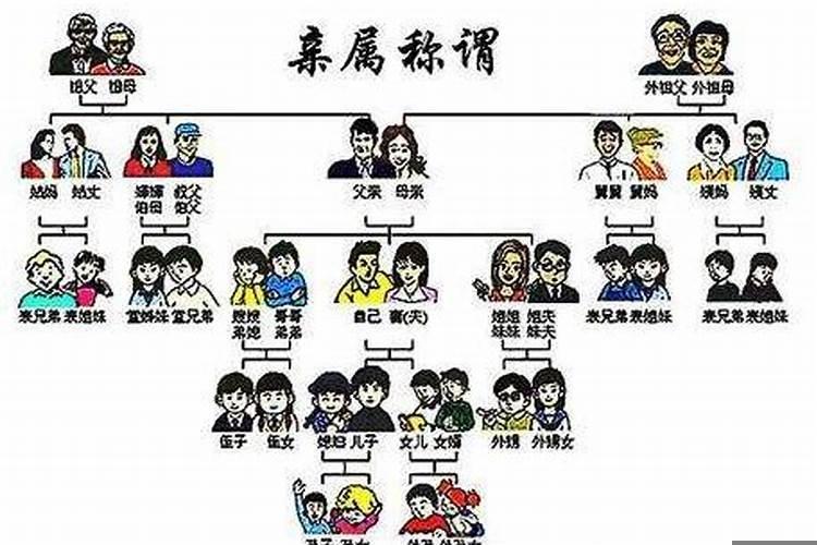 六亲疏什么意思