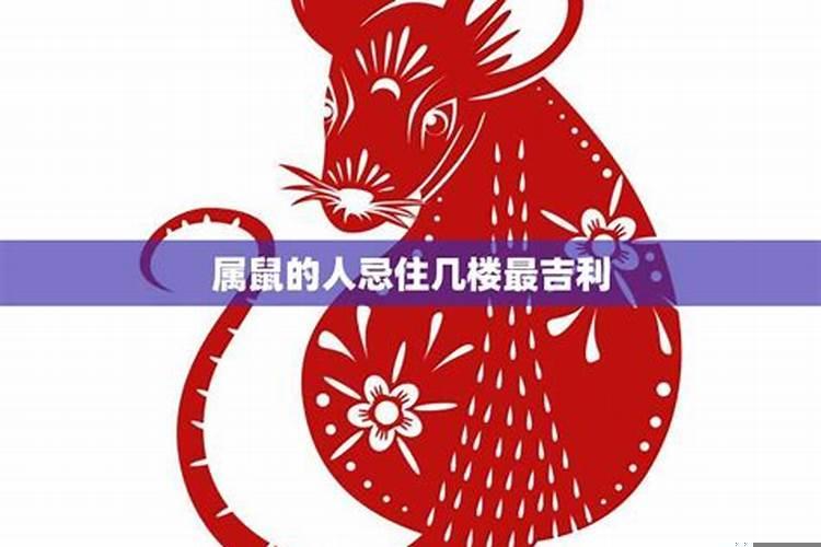 属鼠人住几层楼最吉利