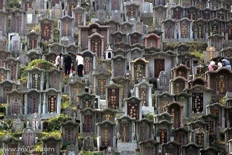 梦见女儿在坟墓里