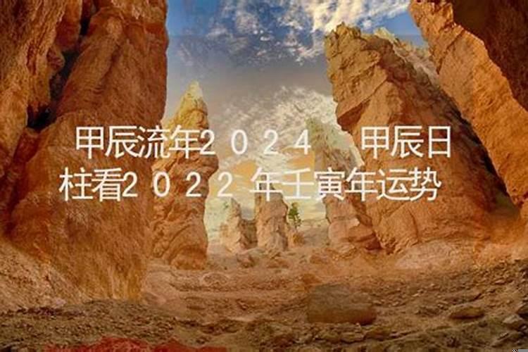2025年壬寅日柱流年运势