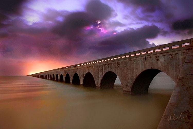 梦到成群的老鼠什么预兆