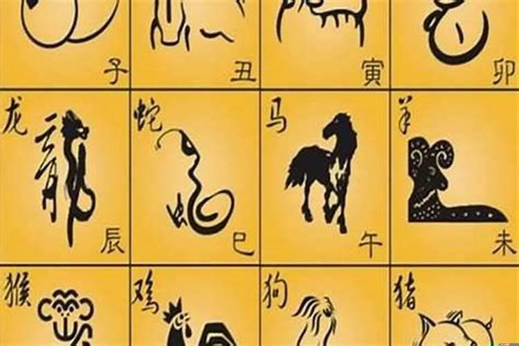 各个生肖的贵人