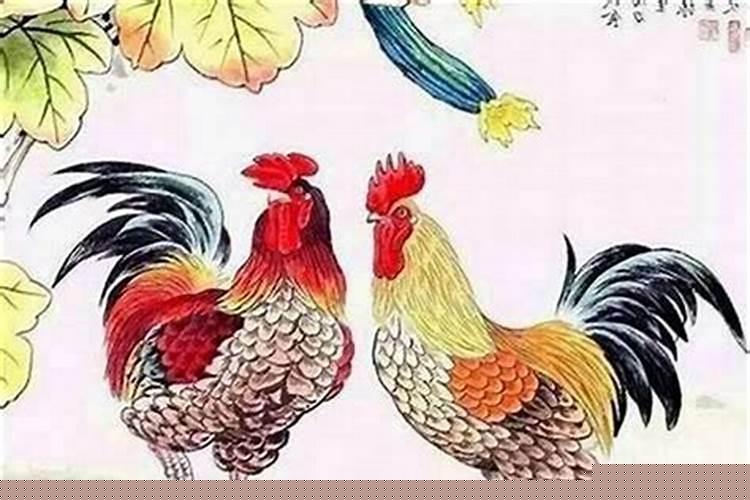 婚姻生肖配对鸡和马