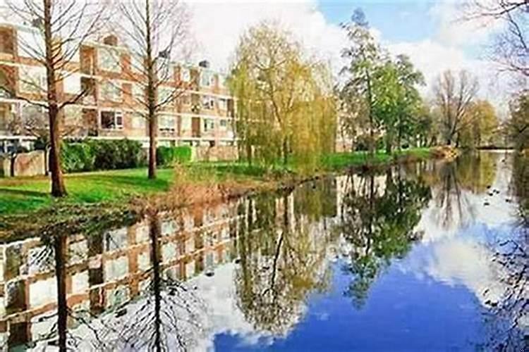 房子背靠山前有条河风水好吗