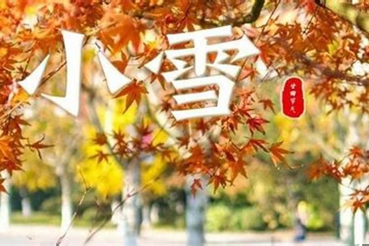 2020年11月股市走向