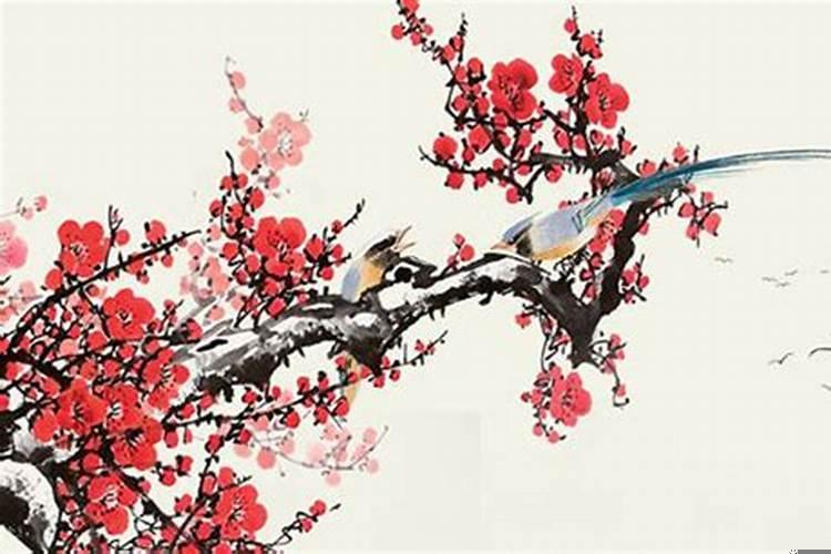 满月是怎么算日子