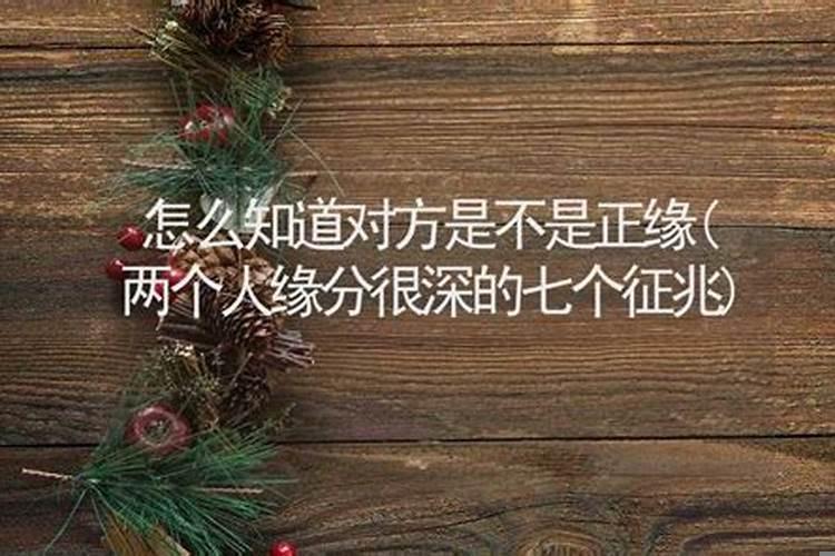 学生屋里摆什么物件风水好