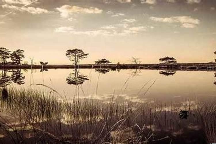 属猴的今日运程运势