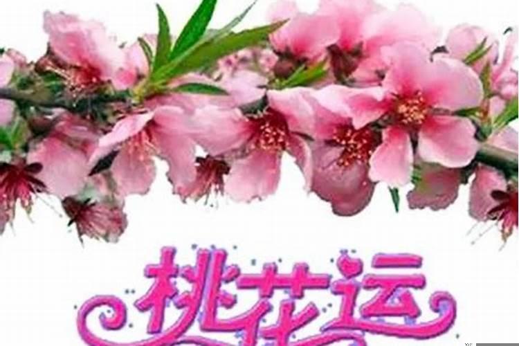 风水怎么斩烂桃花