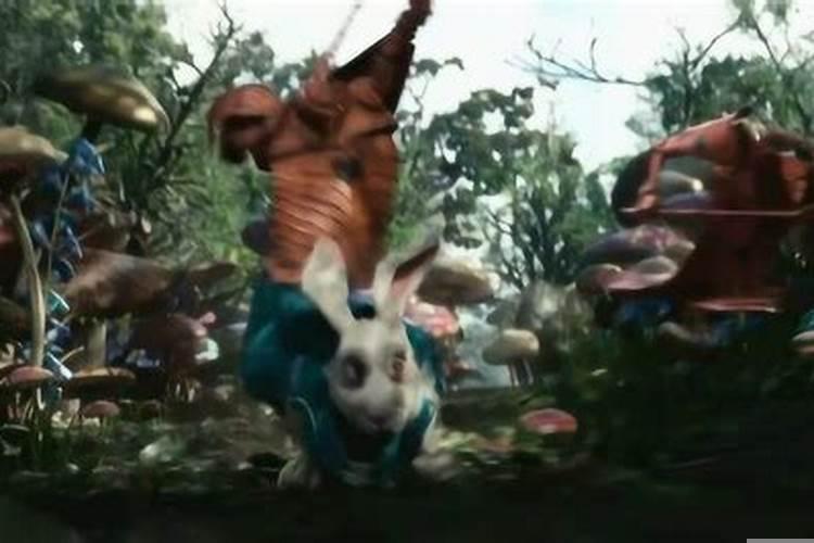 我做梦梦游仙境