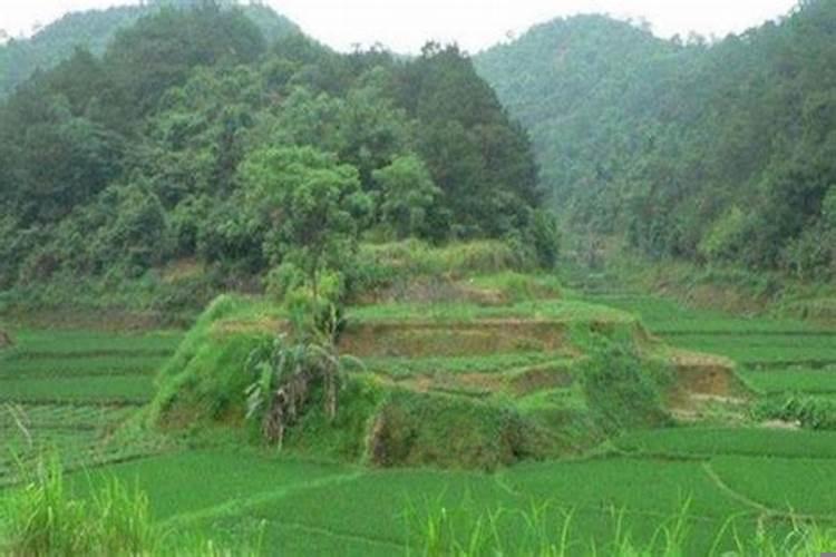 什么样的墓地风水出官员