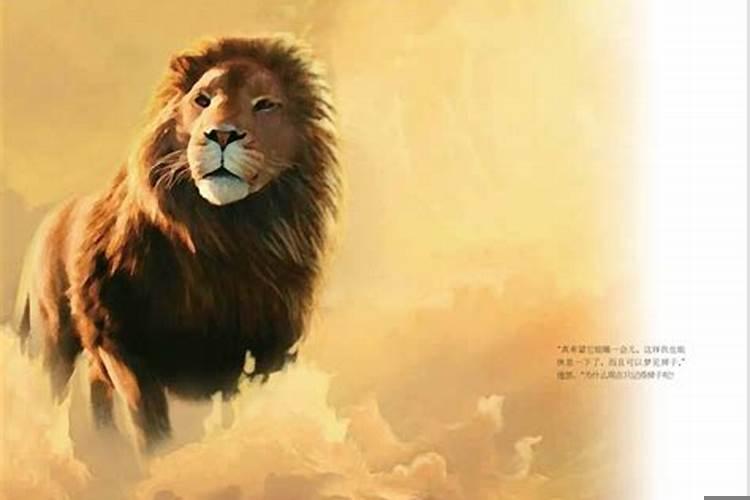 老人与海的结尾写道老人正梦见狮子