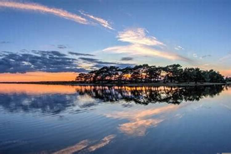 属猴人2025年结婚好日子