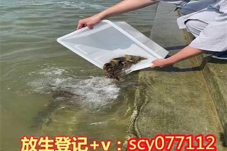 如何确定自己的八字喜用神