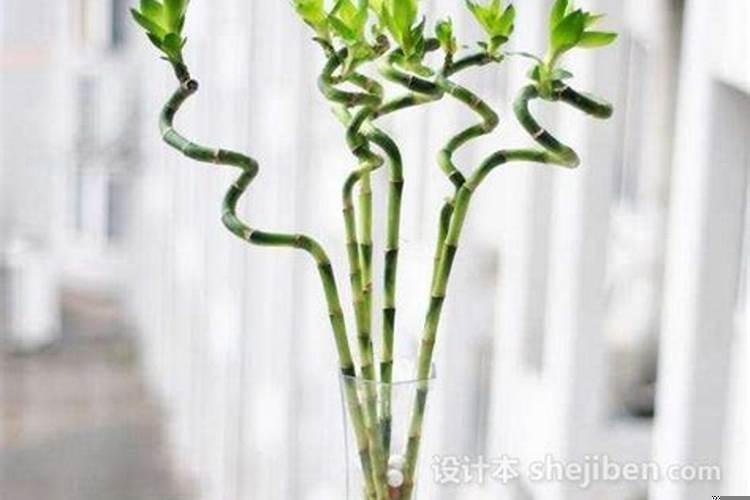 办公楼最好的风水方位