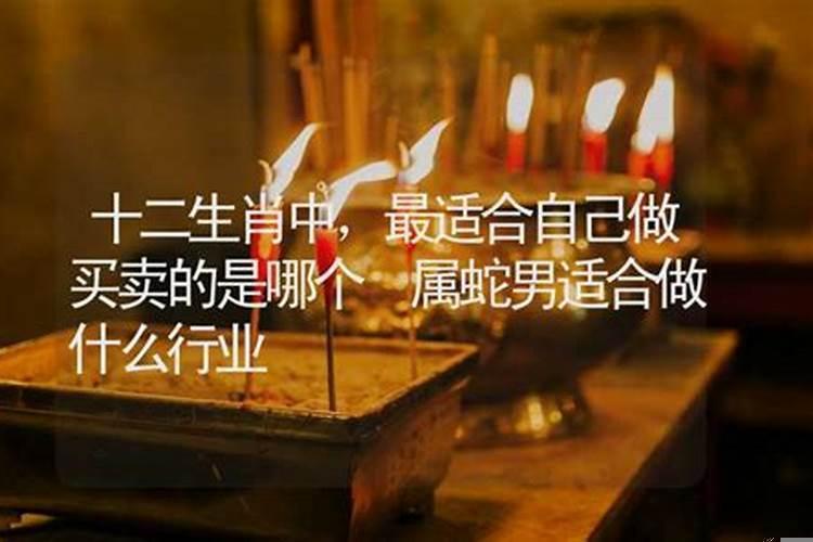 十二生肖不能做哪个行业