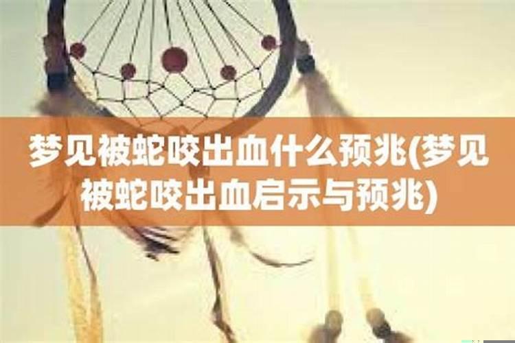 梦见被蛇咬出血什么征兆