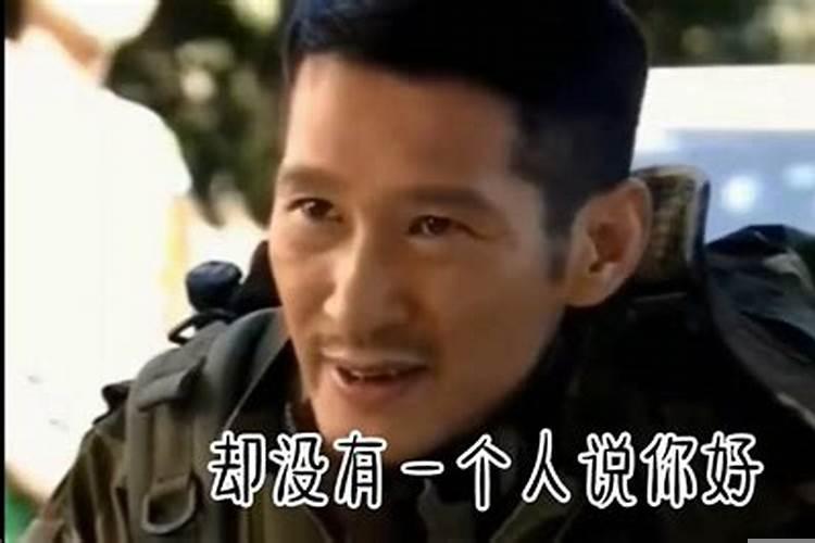 不顾一切的生肖