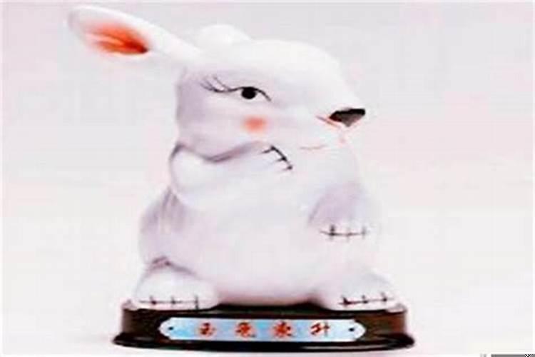 属兔戴啥能旺财运