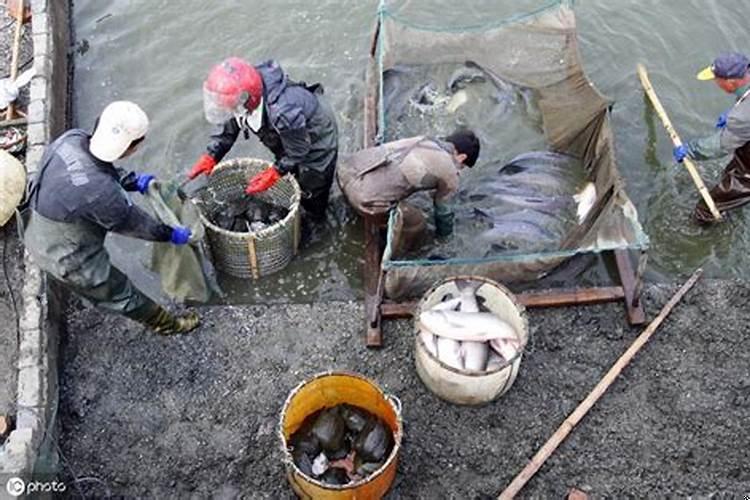 办公楼哪个楼层好