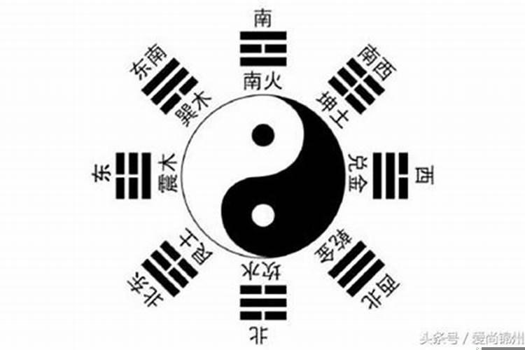 选楼层看属相还是看八字