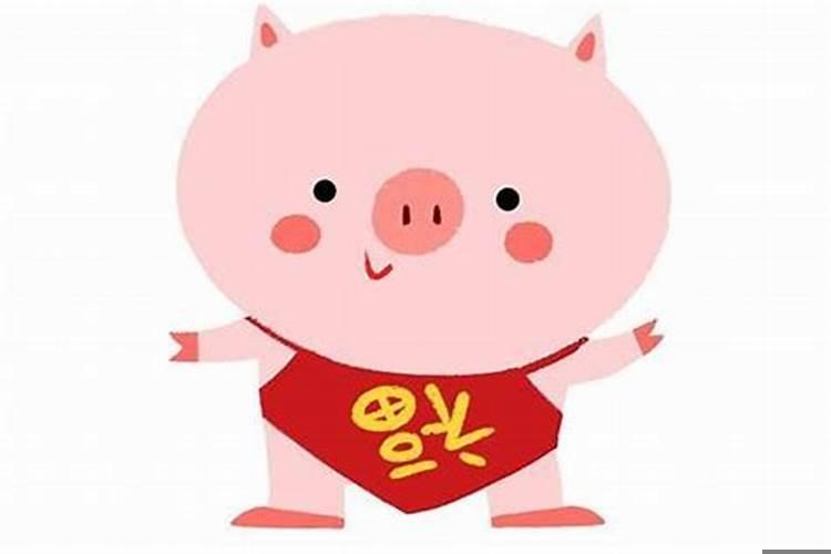 属猪的男孩最佳婚配属相是什么